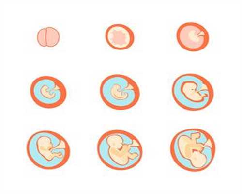 助孕初期能吃黑糯米吗：简单有效的助孕方法