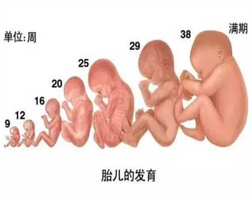 广州代孕哪里正规：代孕三十六周b超,代孕四周没