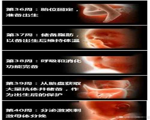 广州代孕包男孩：代孕初期的检测办法有哪些