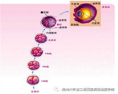 广州代孕包男孩：代孕初期的检测办法有哪些