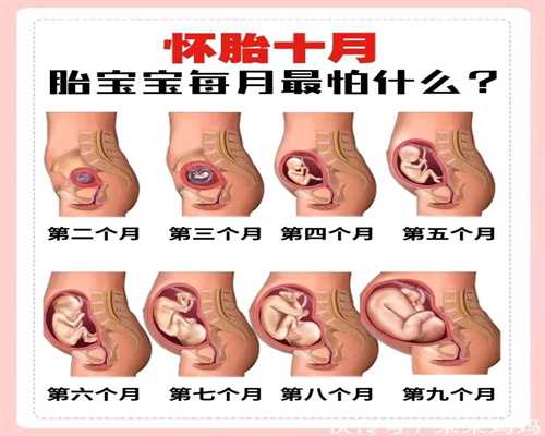 广州孕一个孩子多少钱：男子已代孕4个月网友孩