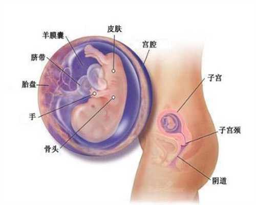广东代孕中介：孕妇不能抱小孩，小孩不能被孕