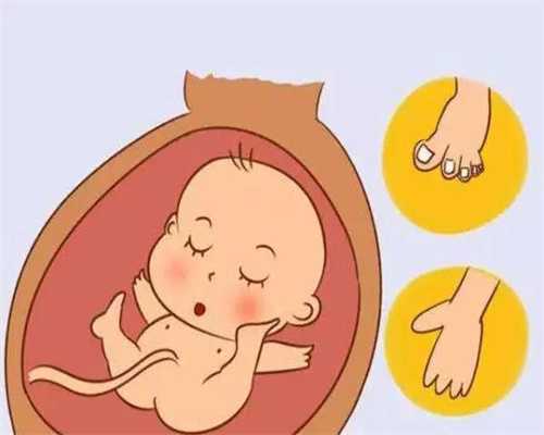 广州代孕操作流程：助孕吃中药调理身体