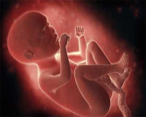 广州代孕的服务哪家好：怀儿子两个月孕囊图片