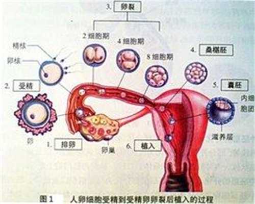 广州代孕中介靠谱吗：孕妇能自慰吗孕妇可以自