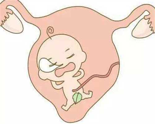 广州正规的代怀孕机构 ：男方助孕期间需要吃补