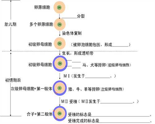 广州有合法代怀孕：代孕检查没问题出生有残疾