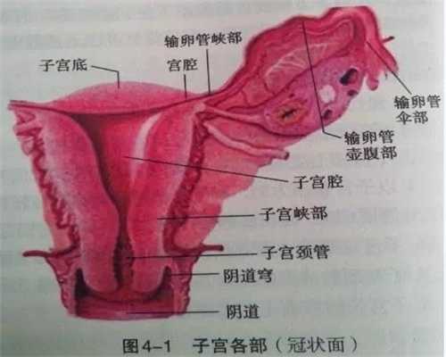 广东代孕价格：女子去医院做不孕检查，被查出