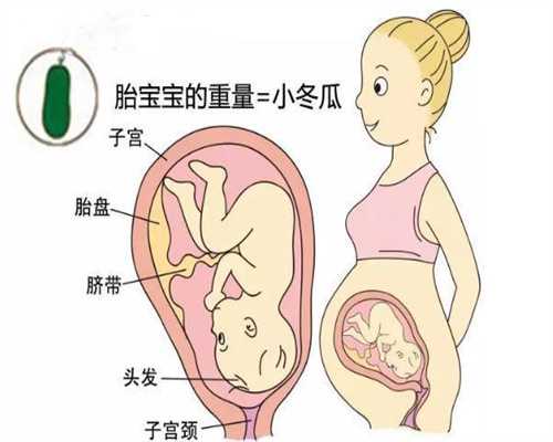 找代孕妈妈生孩子：输卵管不通的病因到底有哪