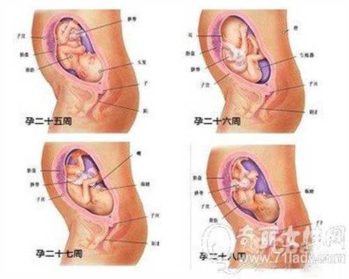 广州求代孕男：怎样治疗男性免疫性不育