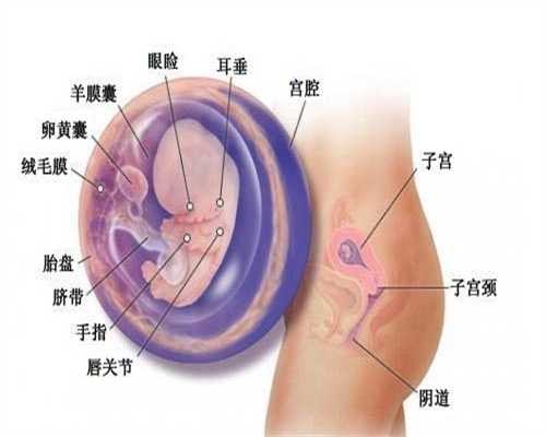 广州找代孕女孩：滴虫性阴道炎的症状表现，你