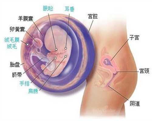 广州代孕可信吗：精子活力低的原因