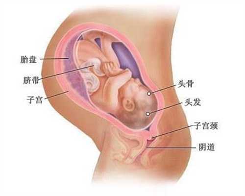 广州市aa69助孕网：泰国试管婴儿费用大概都包含