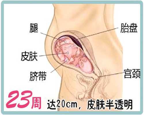 广州福音代孕：美国代孕、俄罗斯代孕并不违法