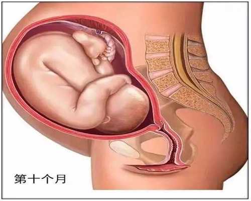 广州代孕长江：做美国试管婴儿需不需要补钙？