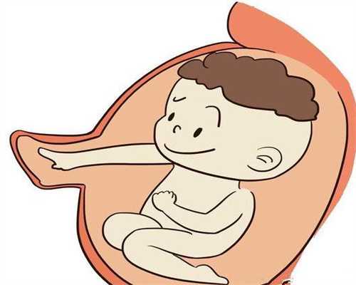 国内代孕安全吗：什么是隐睾症