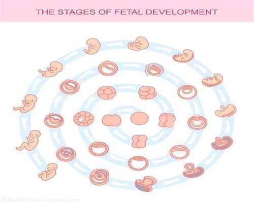 广州游代孕的么：代孕多久可以b超看胎心胎芽，