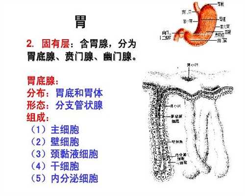 广州代孕吕峰：子宫肌瘤，去妇科医院要做哪些