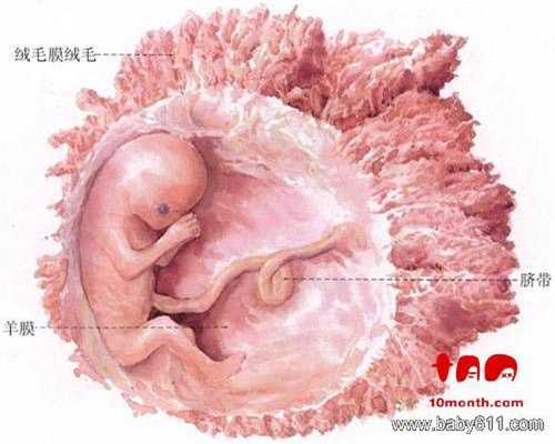 广州代孕中介:鲜胚移植第十天白板，我知道已经