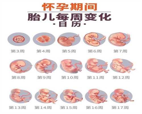 深圳代孕医院:代孕做B超检查的注意事项  (605)