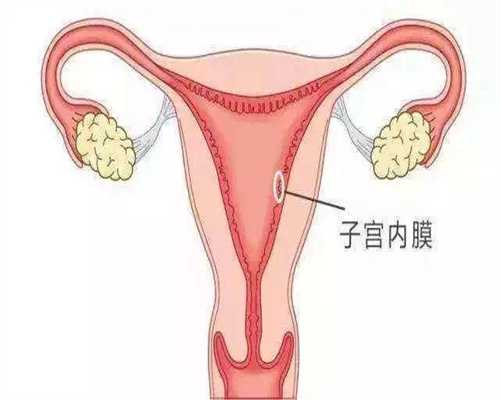 常宁卵巢早衰试管代怀孕电话-38岁越南新娘人工