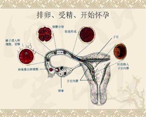 北京代孕-北京做代孕流程-北京找代孕妈妈生孩子