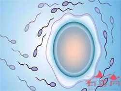 2022广西柳州市妇幼生殖中心有提供供卵试管吗？